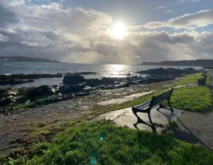 Bench view in sunshine